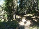 juges_2011_045.jpg