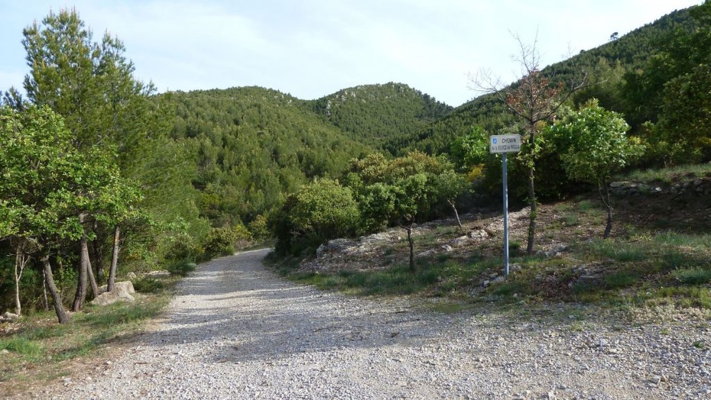 P1090164.JPG