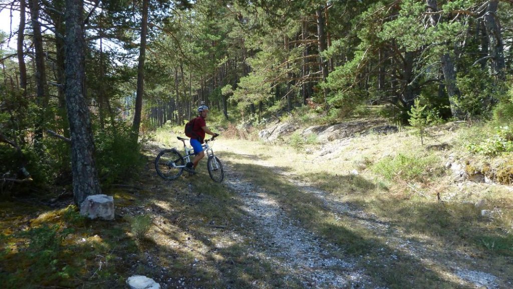 la_batie_meunier_aout_2012_104.jpg