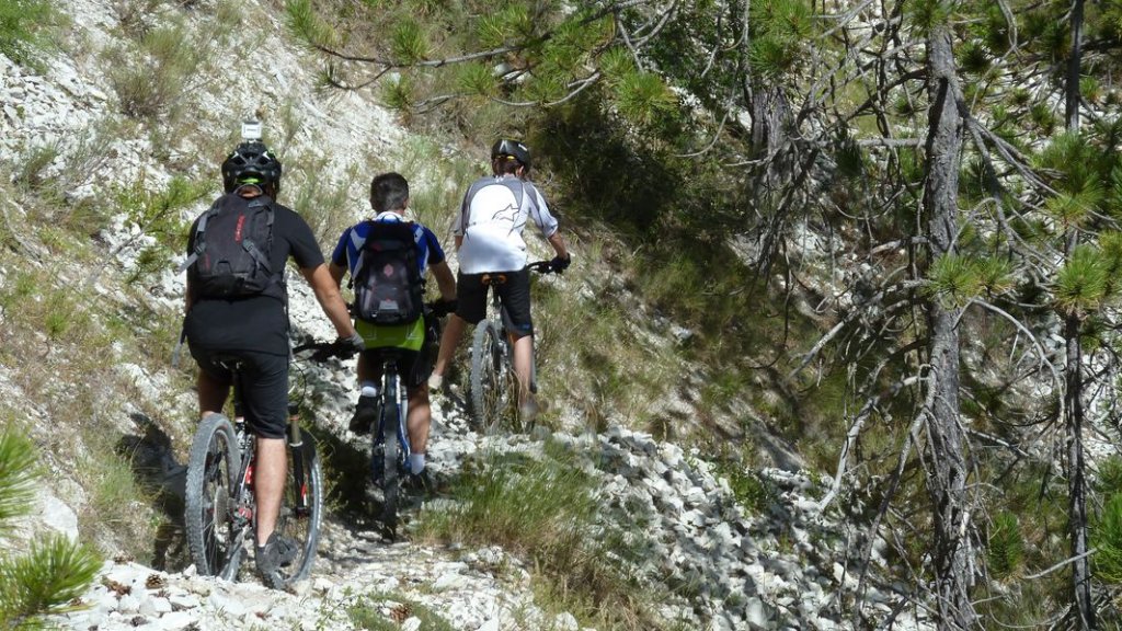 la_batie_meunier_aout_2012_140.jpg