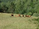 la_valette_2011_033.jpg