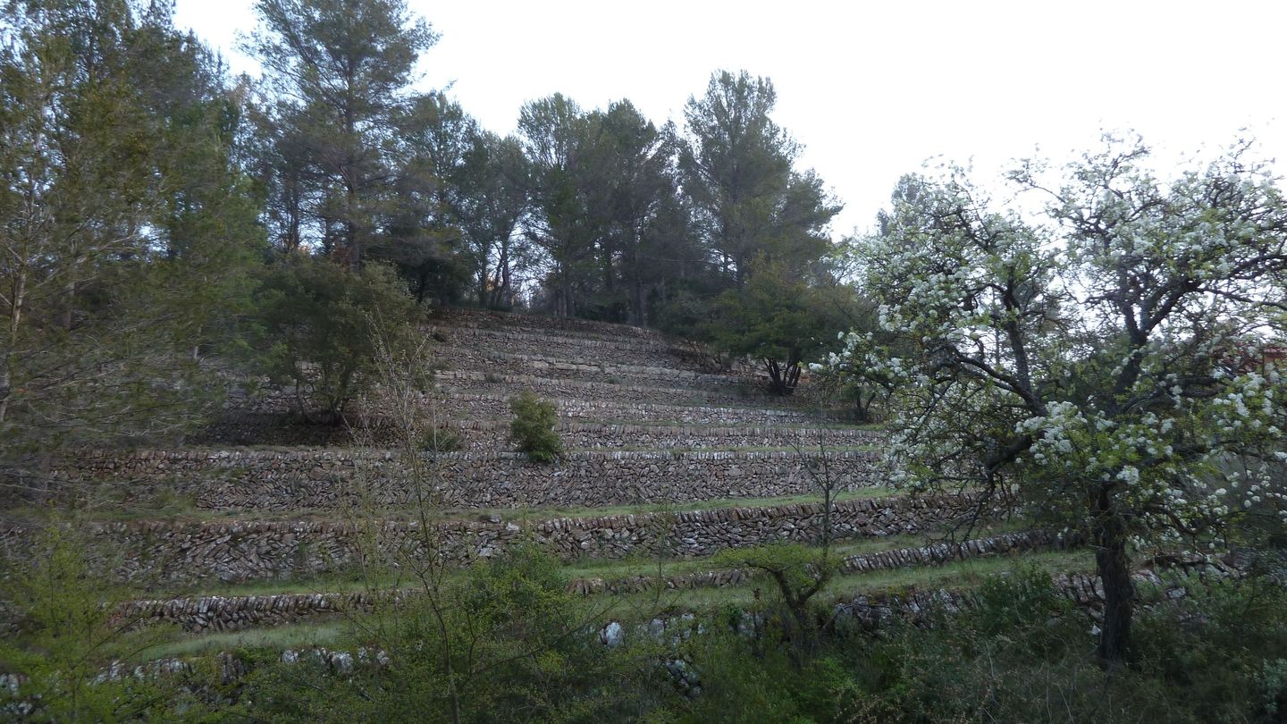 la_baraliere_avr_2017_005.JPG