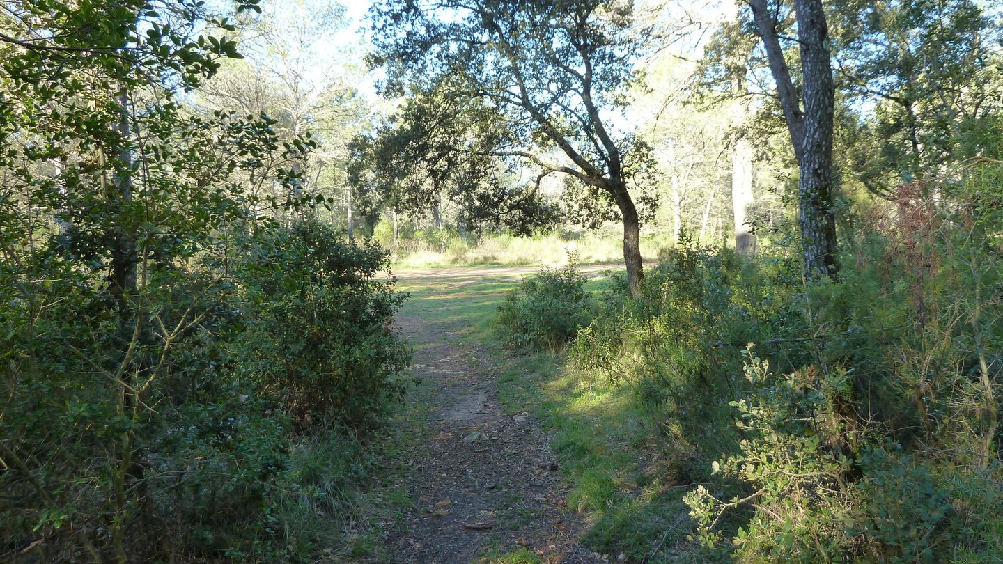 la_baraliere_avr_2017_041.JPG