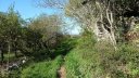 la_baraliere_avr_2017_029.JPG