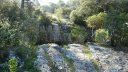 la_baraliere_avr_2017_045.JPG