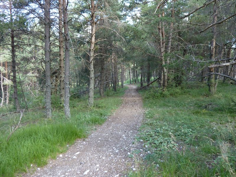 la_batie_2011_025.jpg