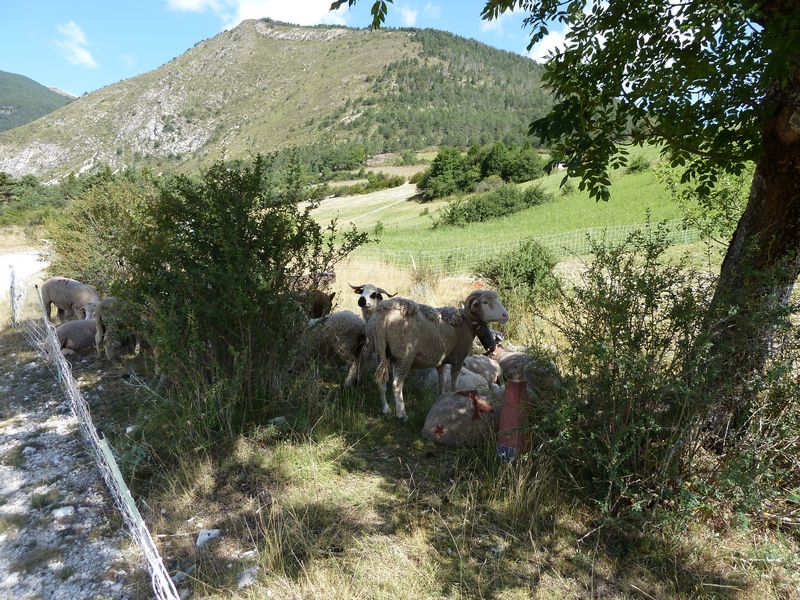 la_batie_2011_051.jpg