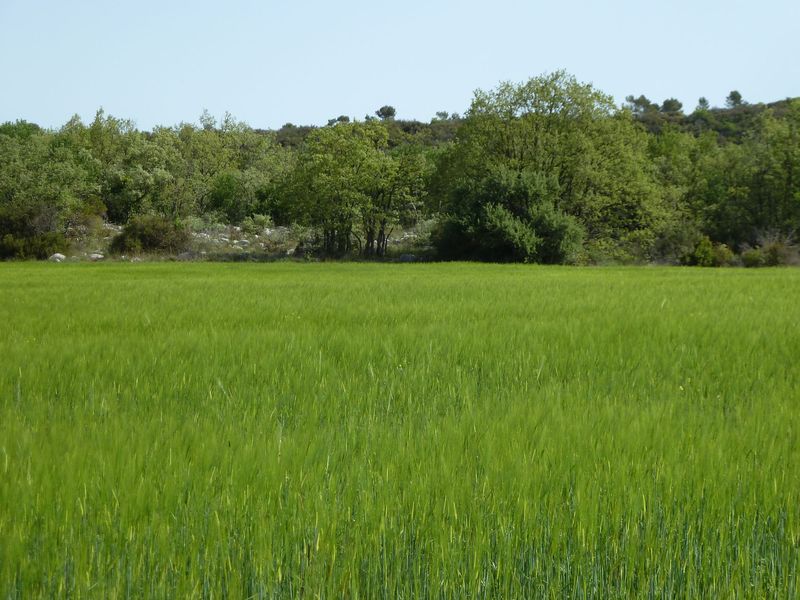 la_limate_mai_2012_028.jpg