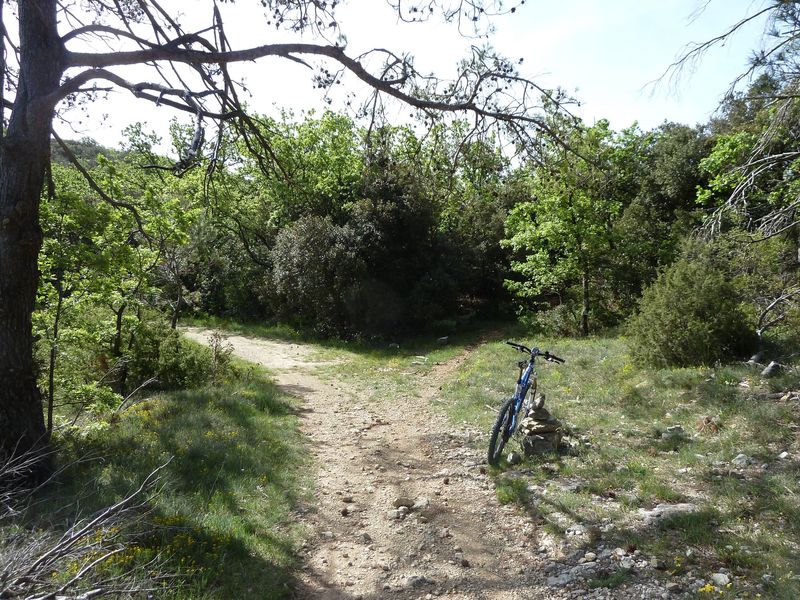 la_limate_mai_2012_038.jpg