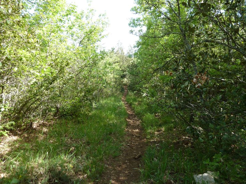 la_limate_mai_2012_040.jpg