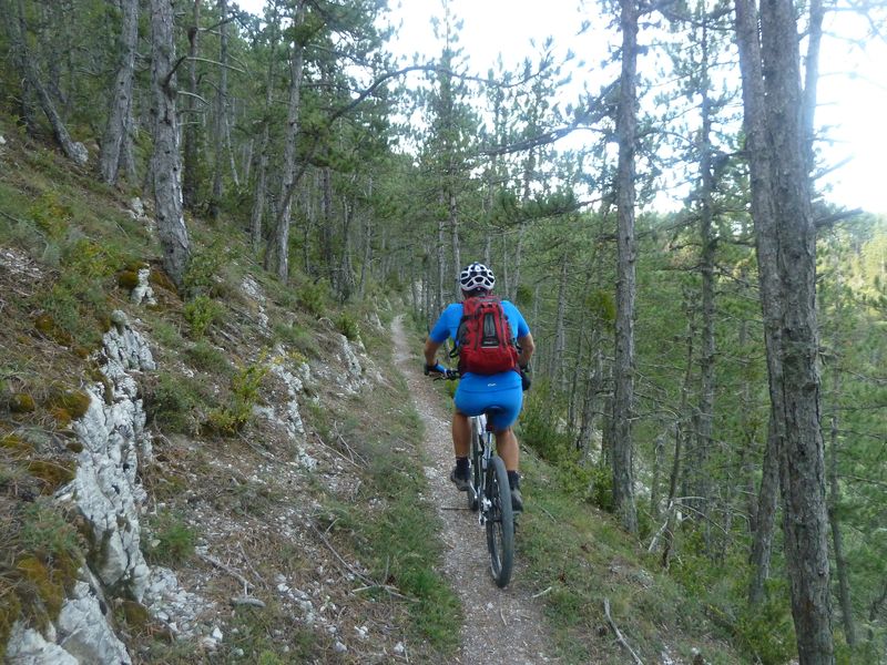 tour_de_piegut_2011_019.jpg