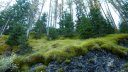lan_onnet_oct_2016_001.JPG