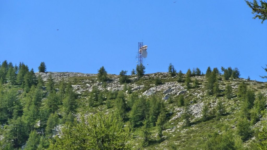 laupon_aout_2014_166.jpg