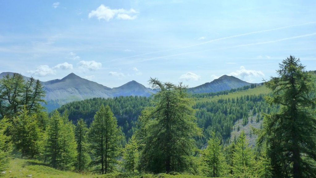 laupon_aout_2014_176.jpg