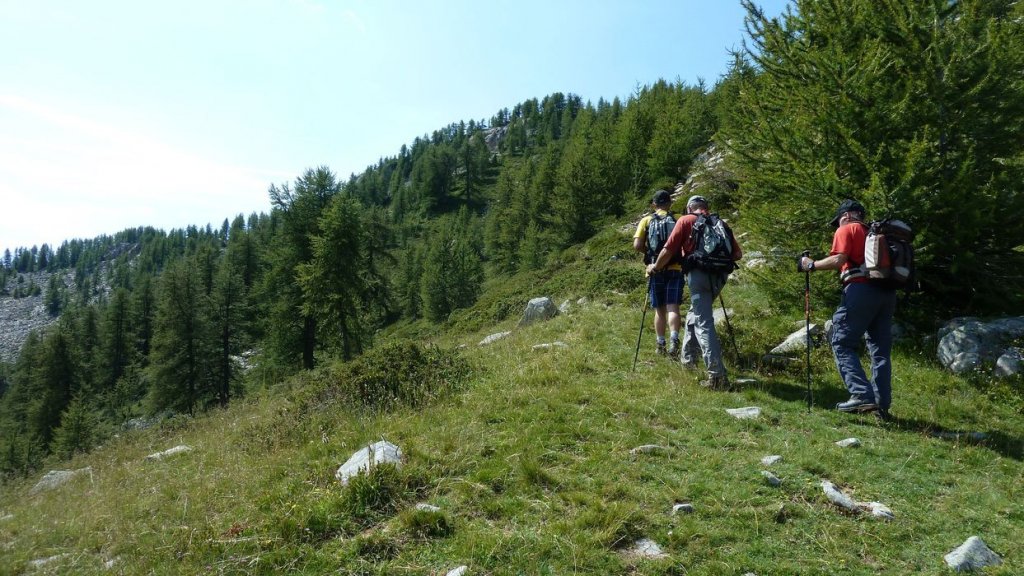 laupon_aout_2014_206.jpg