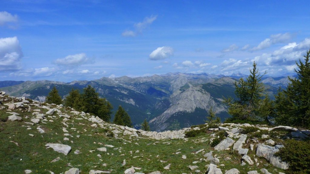 laupon_aout_2014_240.jpg