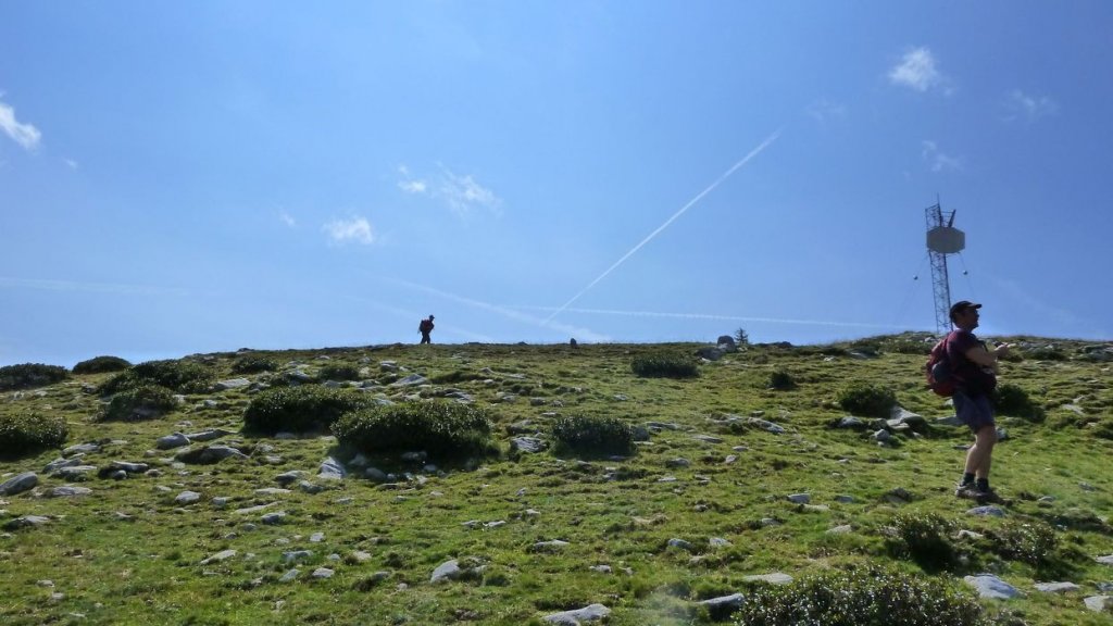 laupon_aout_2014_250.jpg