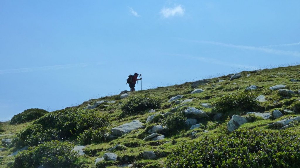 laupon_aout_2014_252.jpg