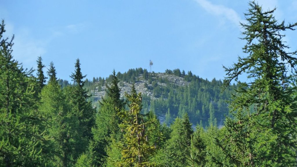 laupon_aout_2014_26.jpg