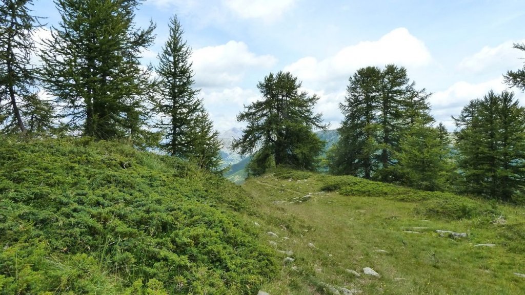 laupon_aout_2014_360.jpg