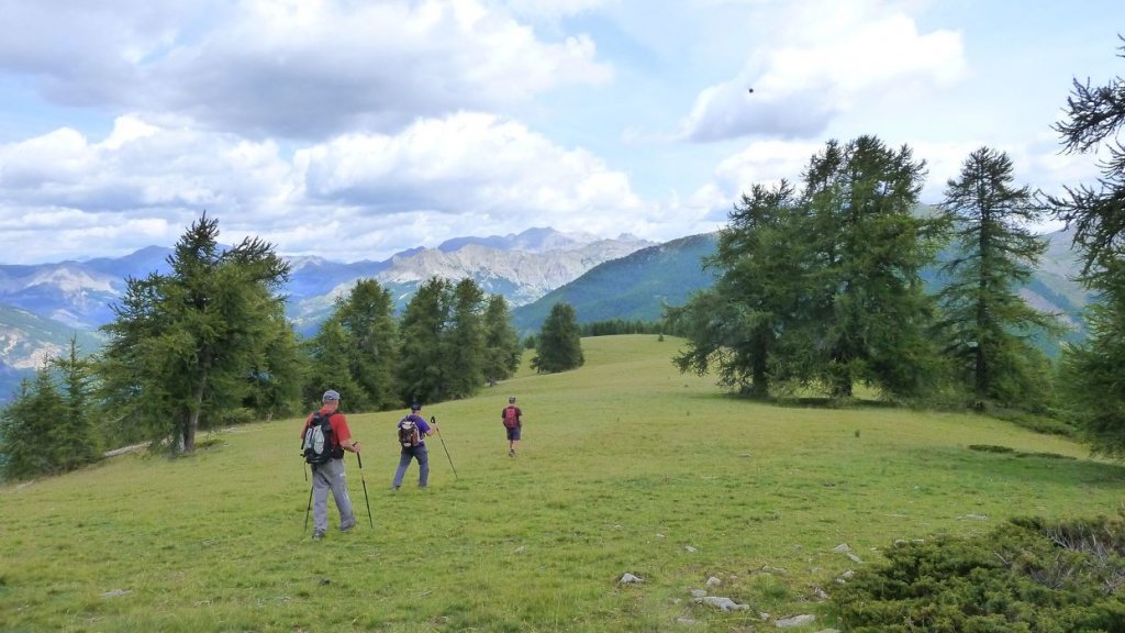 laupon_aout_2014_362.jpg