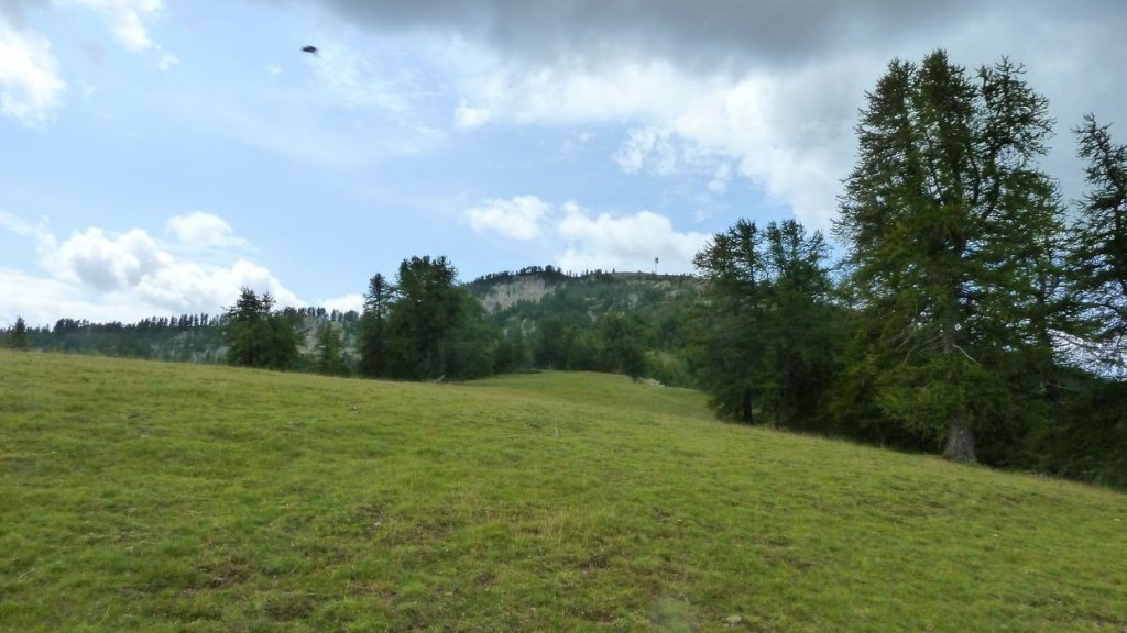 laupon_aout_2014_368.jpg