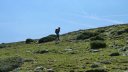 laupon_aout_2014_248.jpg