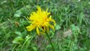 laupon_aout_2014_54.jpg