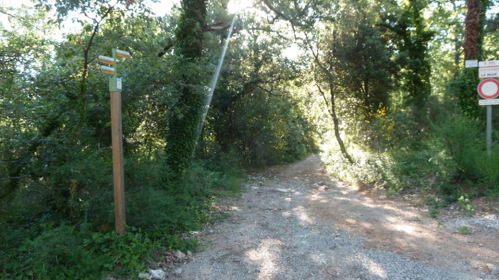 le_castellas_juin_2012_004.jpg