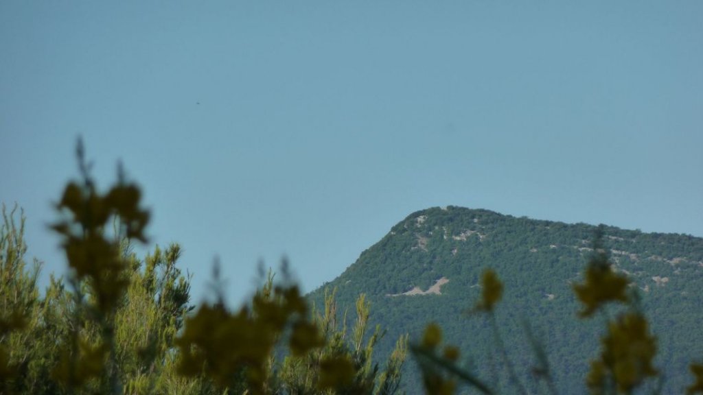 le_castellas_juin_2012_040.jpg