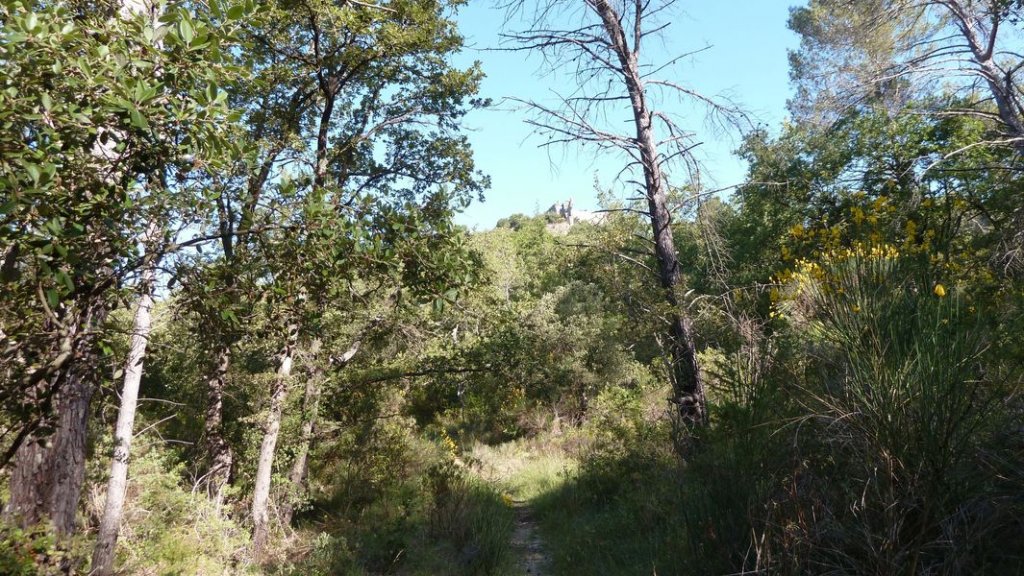 le_castellas_juin_2012_062.jpg