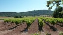 le_castellas_juin_2012_064.jpg