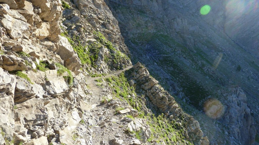 cimet_juillet_2016_033.JPG