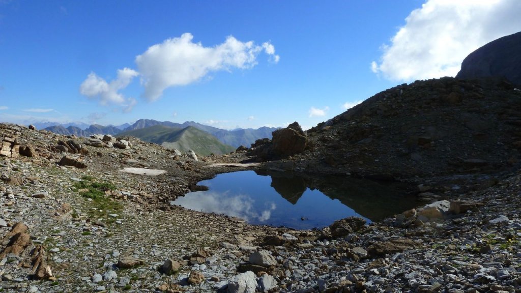cimet_juillet_2016_107.JPG