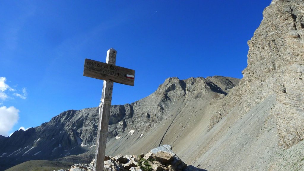 cimet_juillet_2016_127.JPG