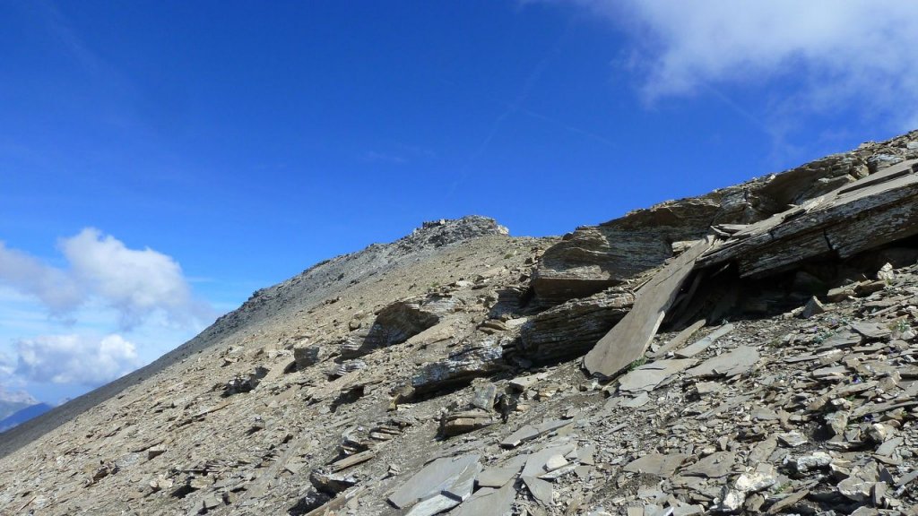 cimet_juillet_2016_149.JPG