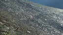 cimet_juillet_2016_051.JPG