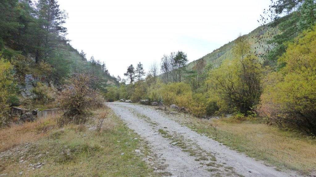 P1160254.JPG