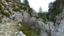 le_poil_nov__2013_128.jpg
