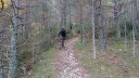 le_poil_nov__2013_170.jpg