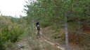 le_poil_nov__2013_210.jpg