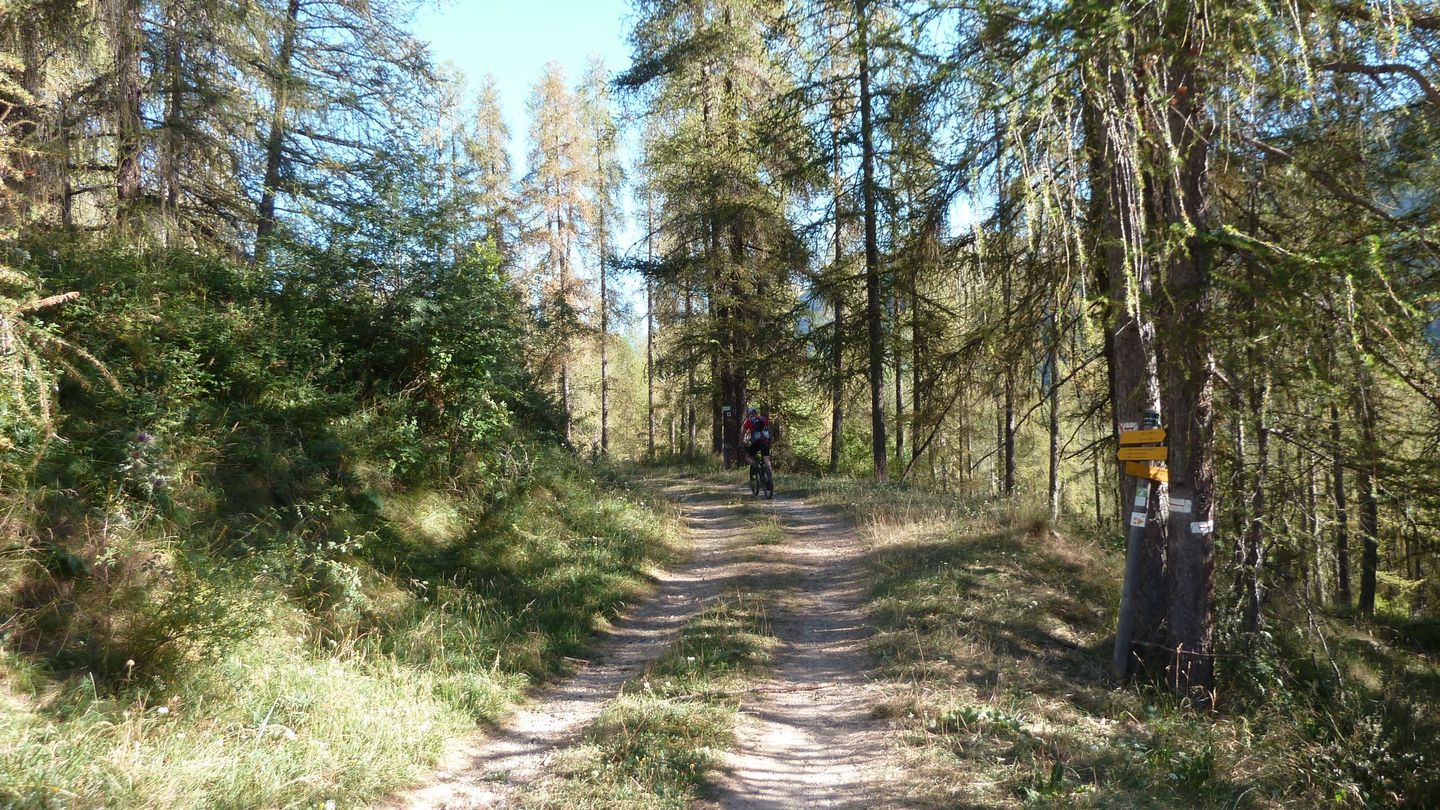 le_puy_chasse_aout_2017_025.JPG