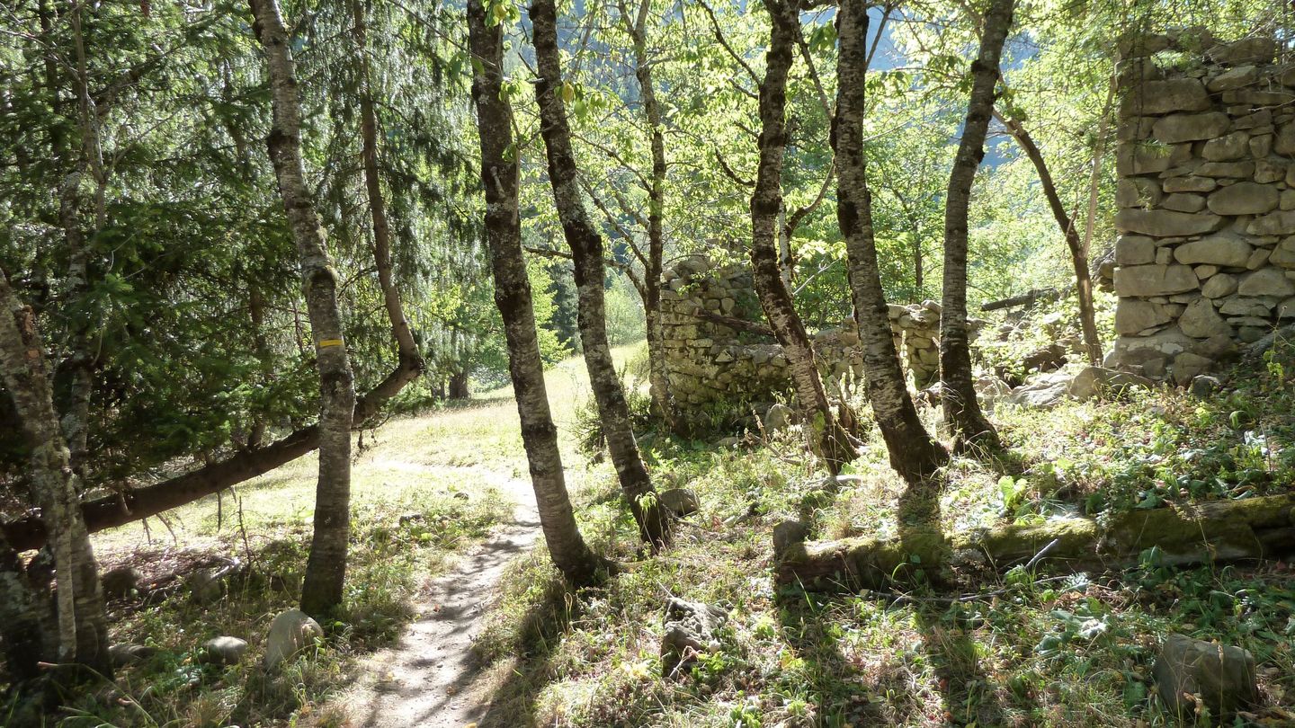 le_puy_chasse_aout_2017_085.JPG