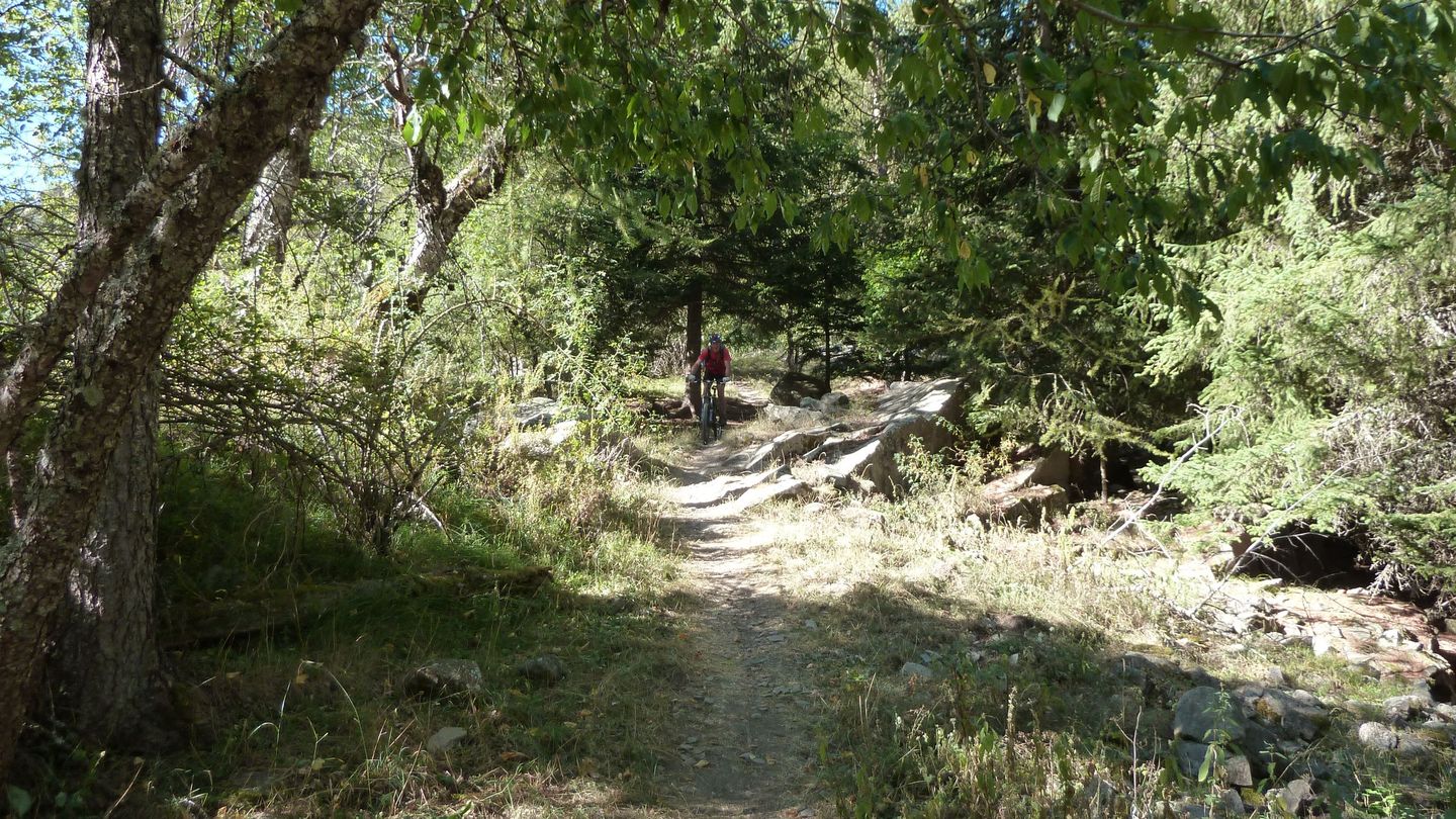 le_puy_chasse_aout_2017_088.JPG