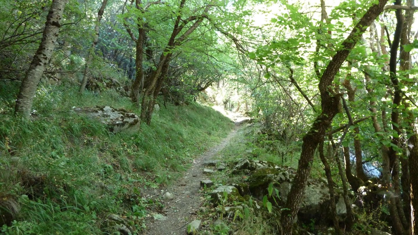 le_puy_chasse_aout_2017_100.JPG
