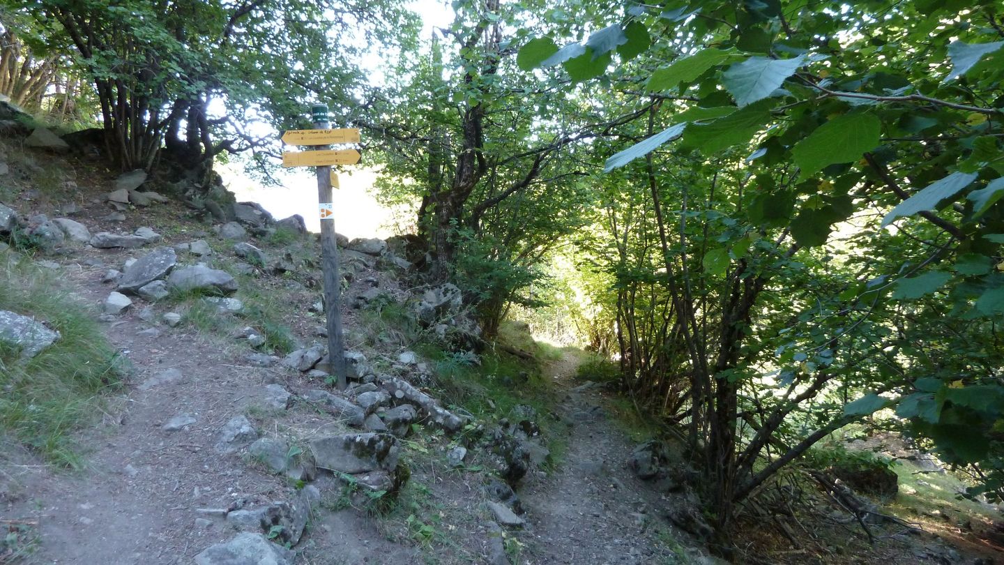 le_puy_chasse_aout_2017_103.JPG