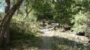 le_puy_chasse_aout_2017_088.JPG