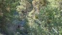 le_puy_chasse_aout_2017_124.JPG