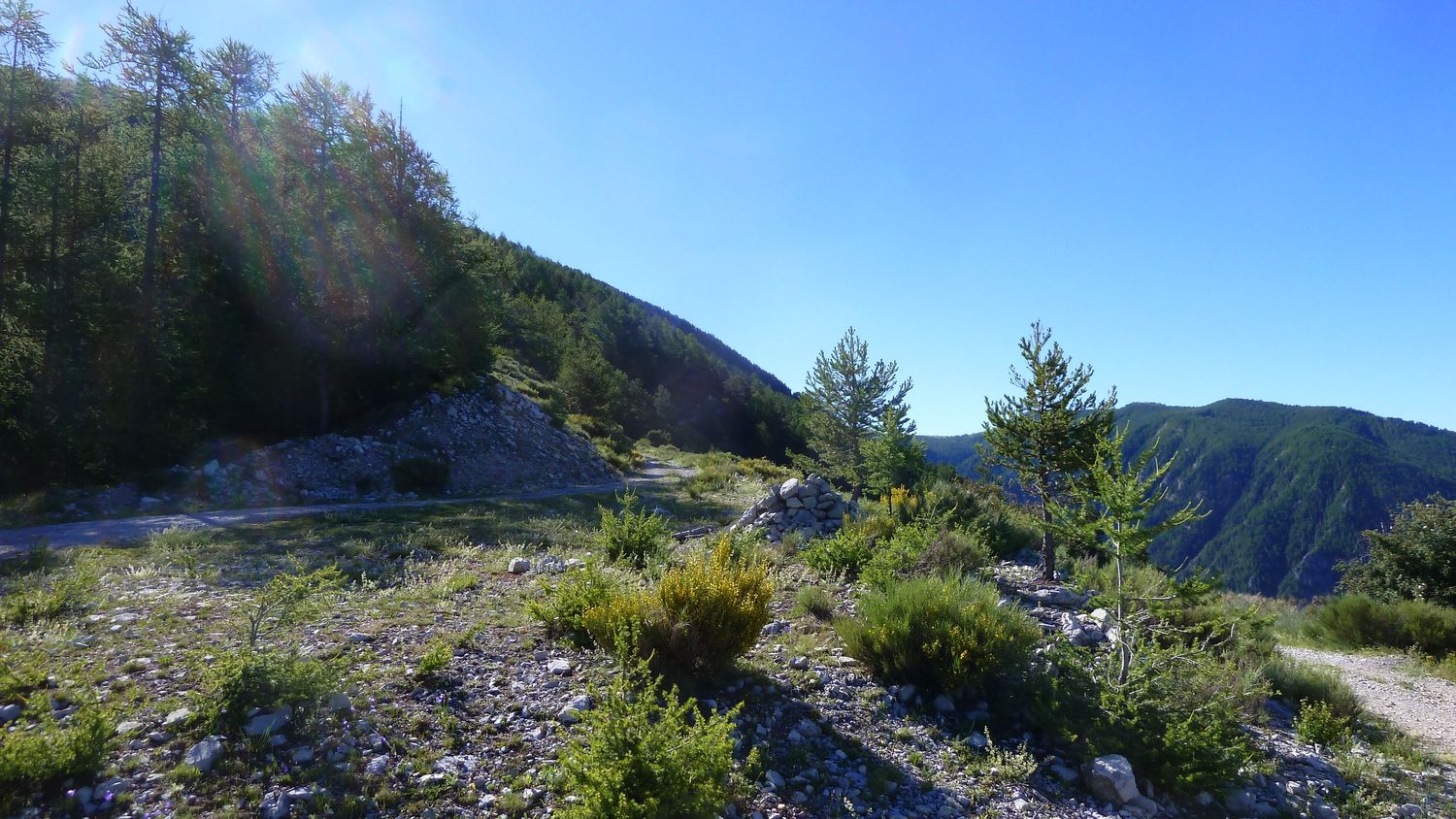 lignin_juillet_2018_021.JPG