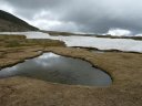 lignin_2011_78.jpg
